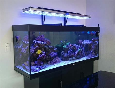 Aquarium Light .